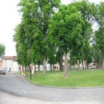 Place des marronniers.jpg